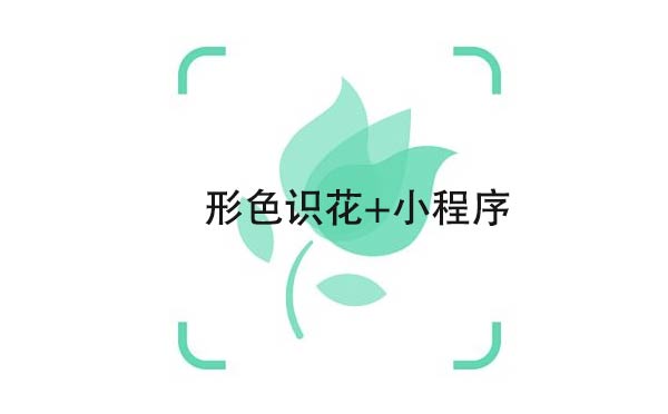 形色識(shí)花+小程序,實(shí)用的花草識(shí)別_工具小程序測評