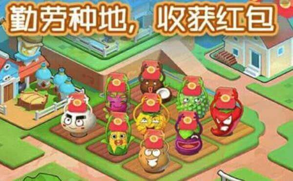 派派小程序.jpg