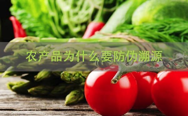 農(nóng)產(chǎn)品溯源,農(nóng)產(chǎn)品為什么要防偽溯源.jpg