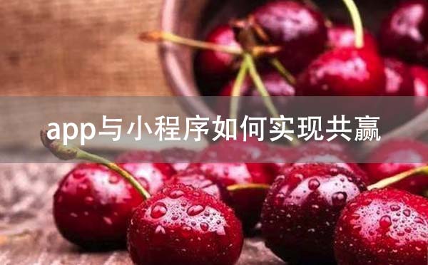 app開(kāi)發(fā)與小程序開(kāi)發(fā)如何實(shí)現(xiàn)共贏？