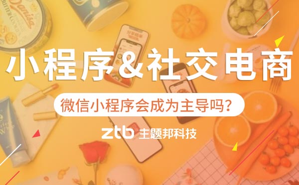 微信小程序會(huì)成為社交電商主導(dǎo)嗎？