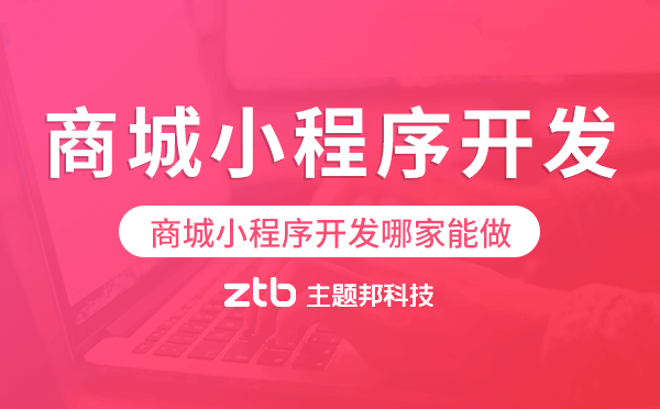 商城小程序開發(fā)哪家能做-主題邦科技
