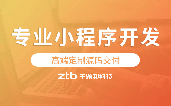 專業(yè)小程序開發(fā),高端定制源碼交付-主題邦科技