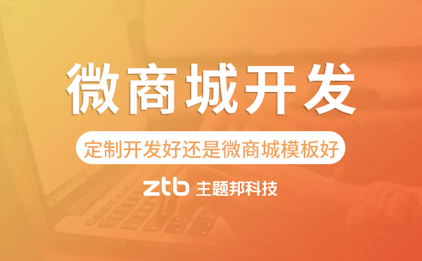 微商城開發(fā)選擇定制好還是微商城模板好