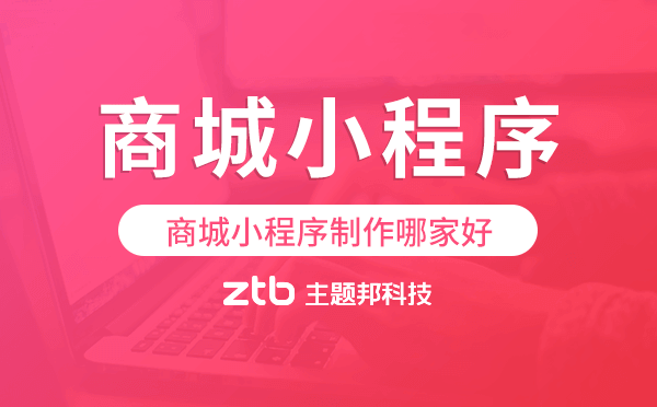 商城小程序制作哪家好-主題邦科技